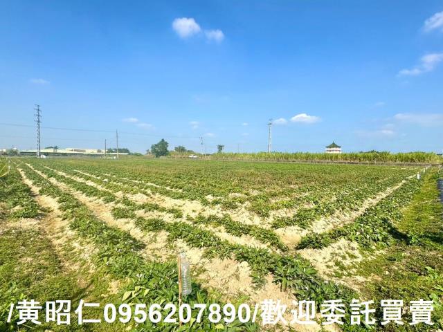 台南農地-1