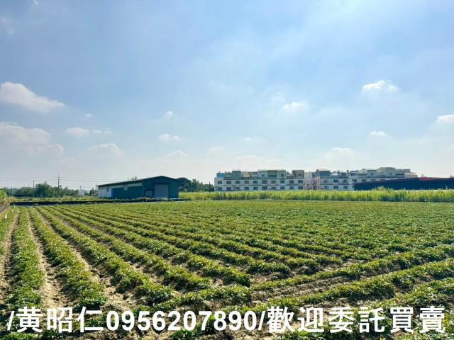 台南農地-2