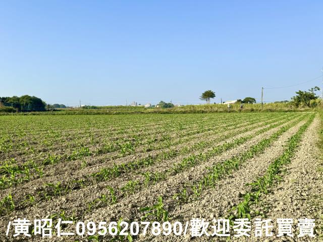 台南農地-0