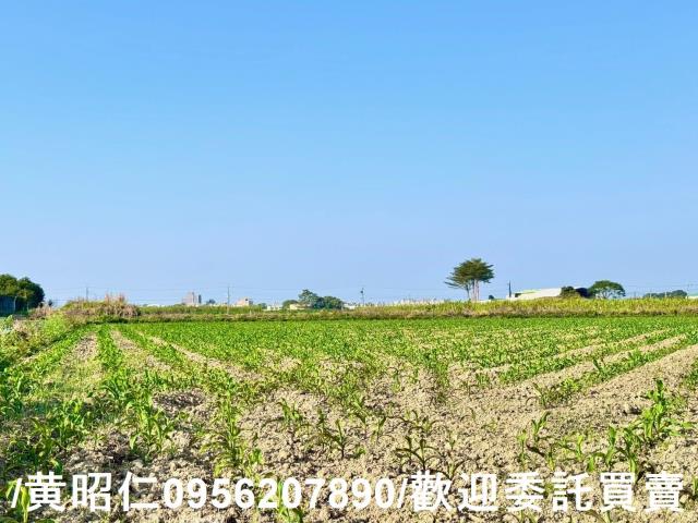 台南農地-1