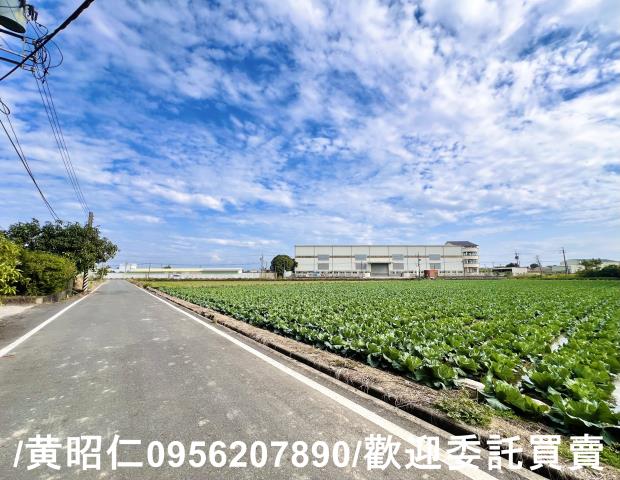 台南農地-8