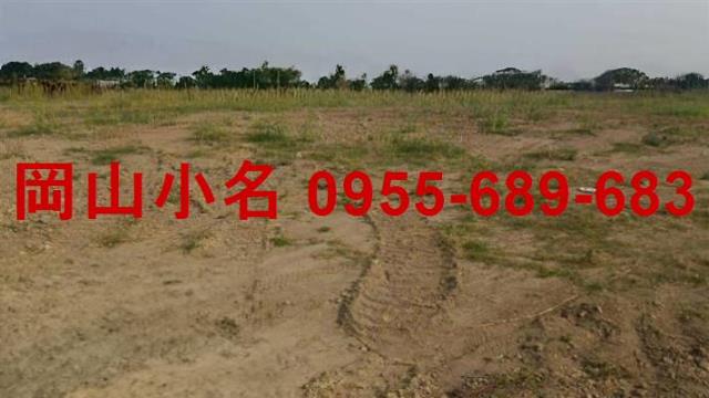 高雄湖內工業地-0