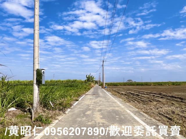 台南善化農地-2