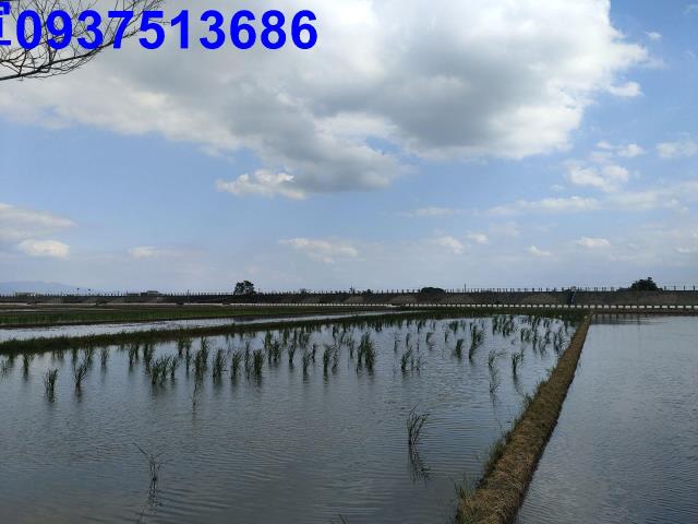 宜蘭壯圍農地-4
