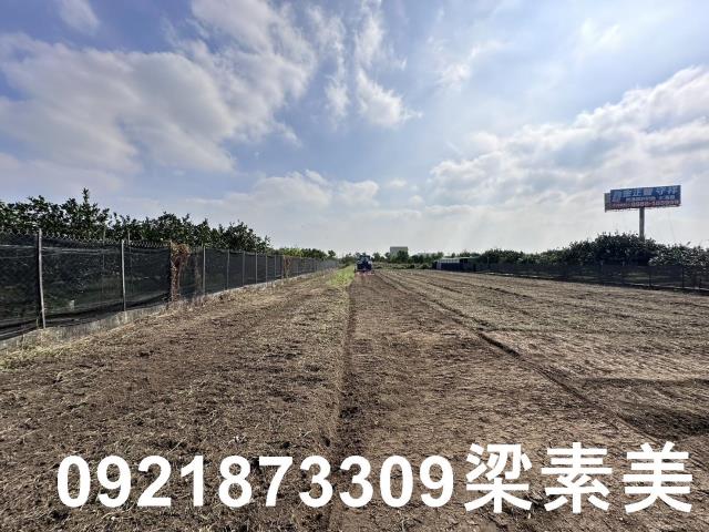 麻豆農地-4