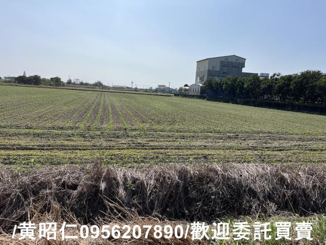 七股農地-3