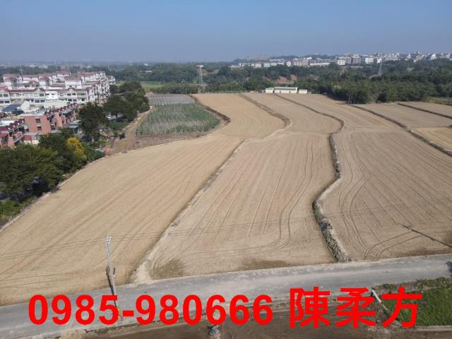 嘉義農地-5