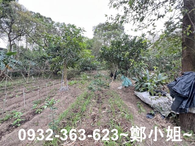 桃園觀音農地-3