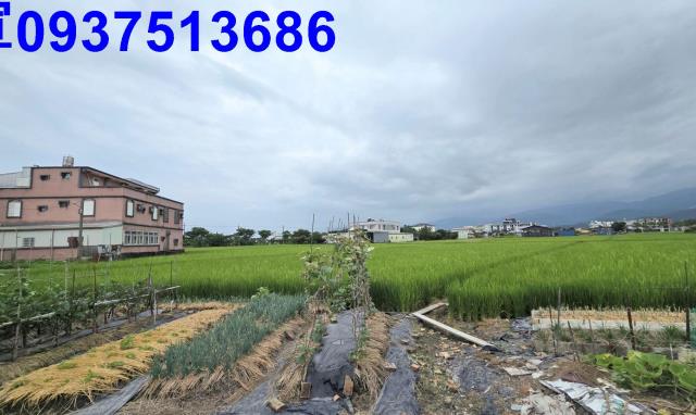 壯圍農地-1