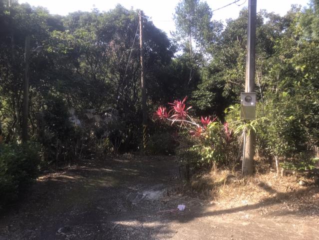 太平農地-5