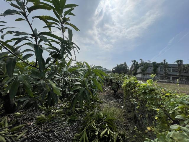 高雄農地-10