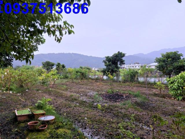 宜蘭員山農地-4