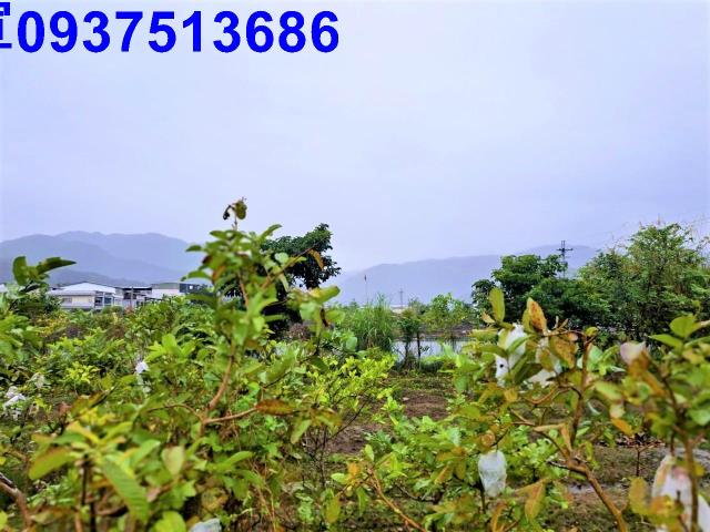 宜蘭員山農地-5