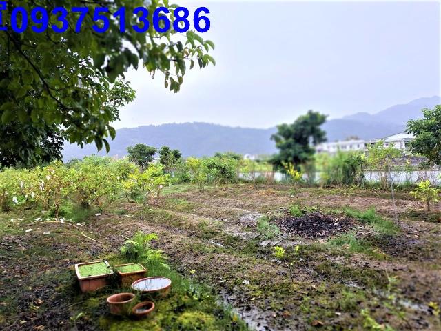宜蘭員山農地-0