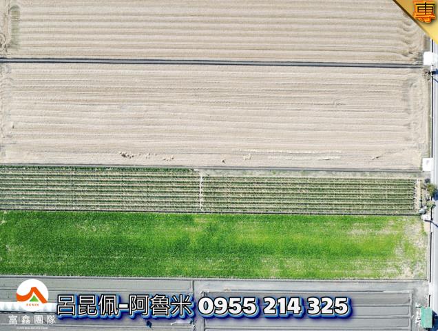 雲林西螺農地-1
