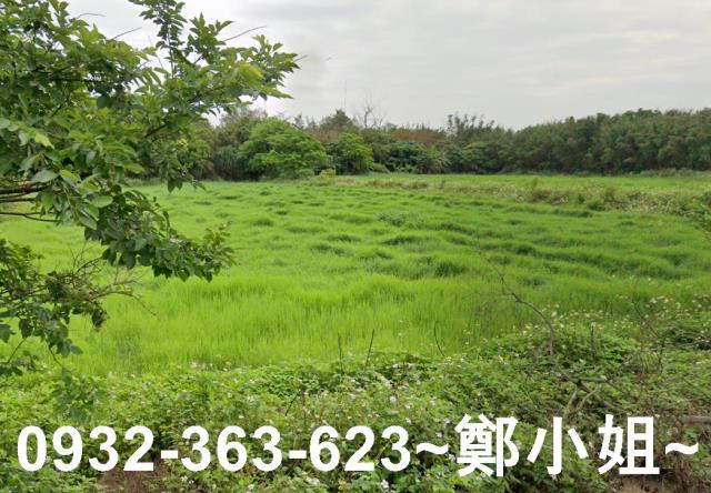 觀音農地-12