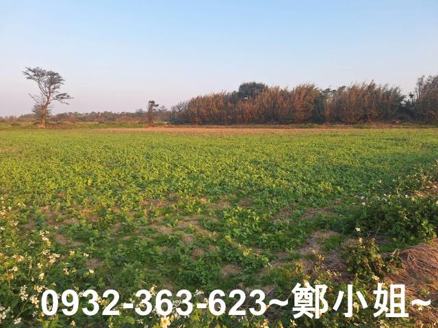 觀音農地-0