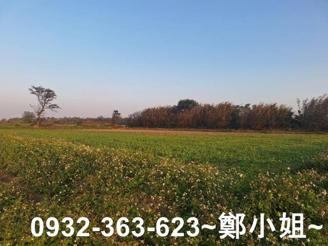觀音農地-1