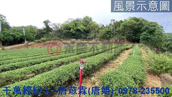 新竹農地-5
