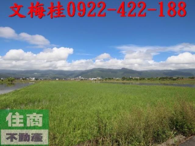 宜蘭礁溪農地-1