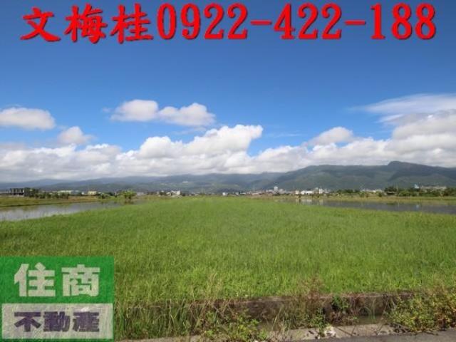 宜蘭礁溪農地-3