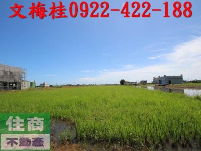 宜蘭礁溪農地-6