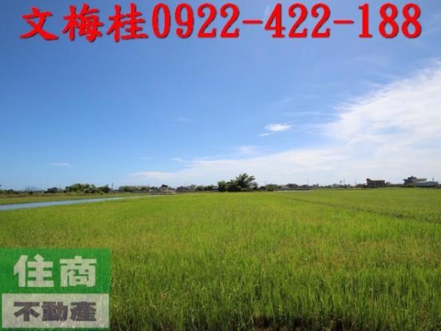 宜蘭礁溪農地-7