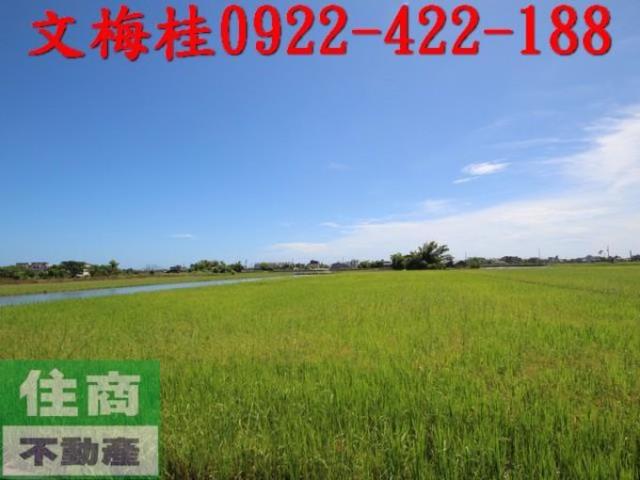 宜蘭礁溪農地-8