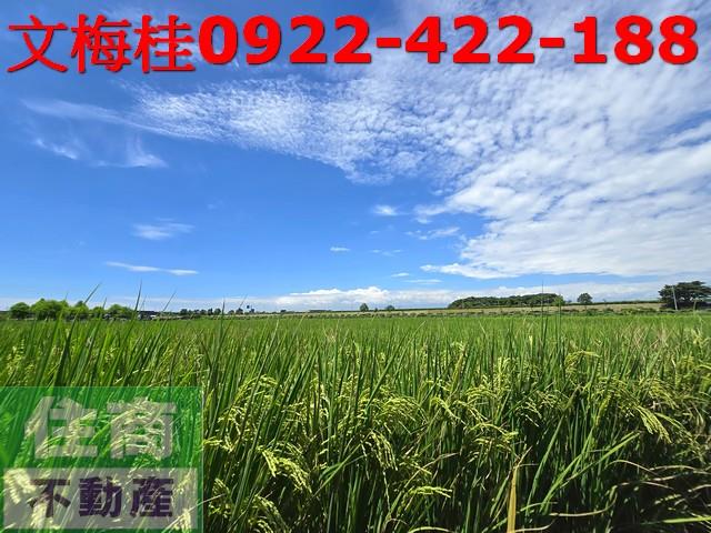 宜蘭壯圍農地-3