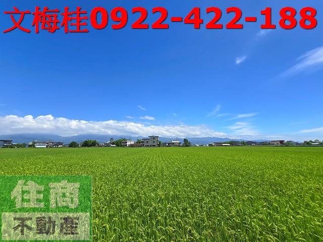 宜蘭壯圍農地-5