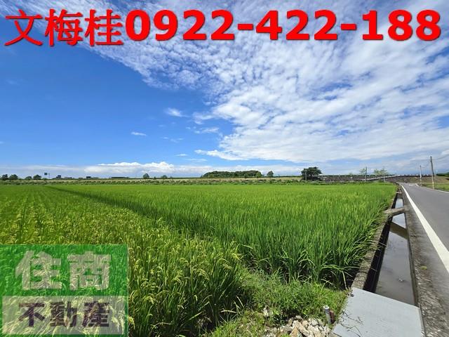 宜蘭壯圍農地-8