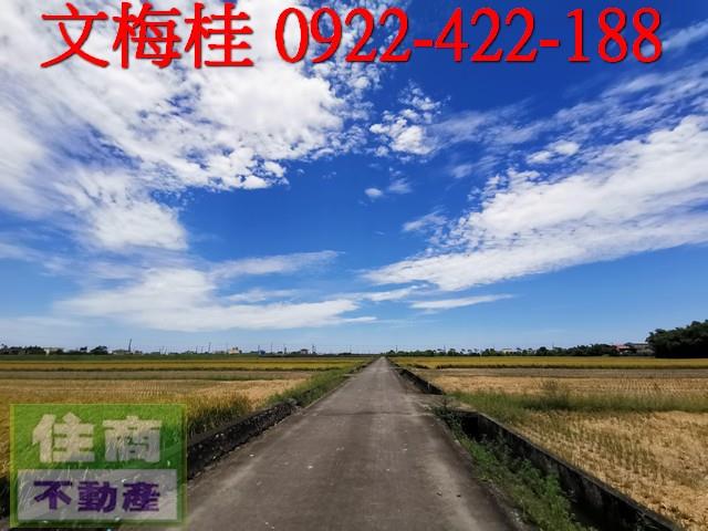 宜蘭壯圍農地-3