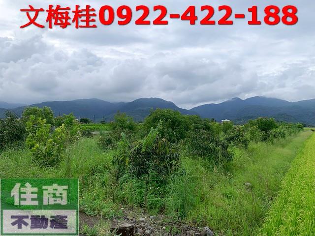 宜蘭三星農地-1