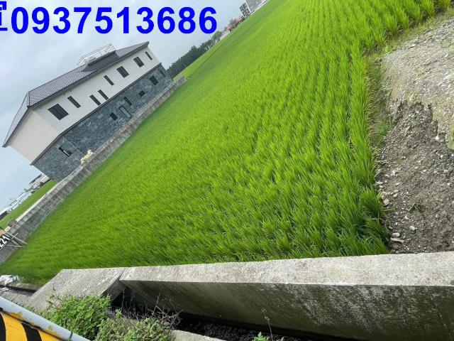 礁溪農地-6