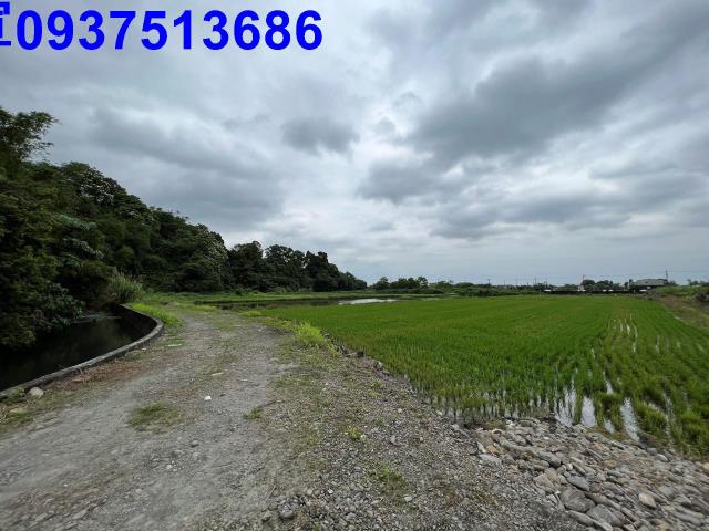 員山農地-7