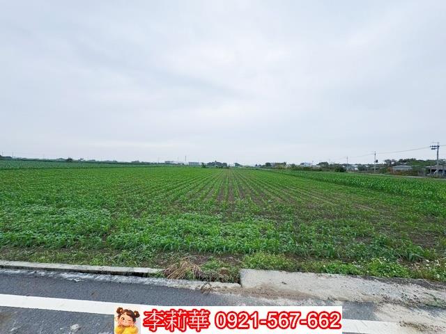 台南鹽水農地-7