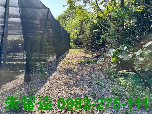 台南楠西農地-10