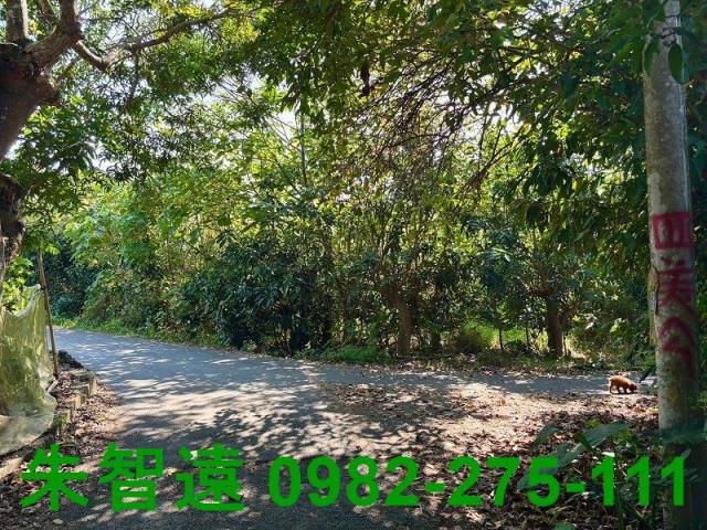 台南楠西農地-0