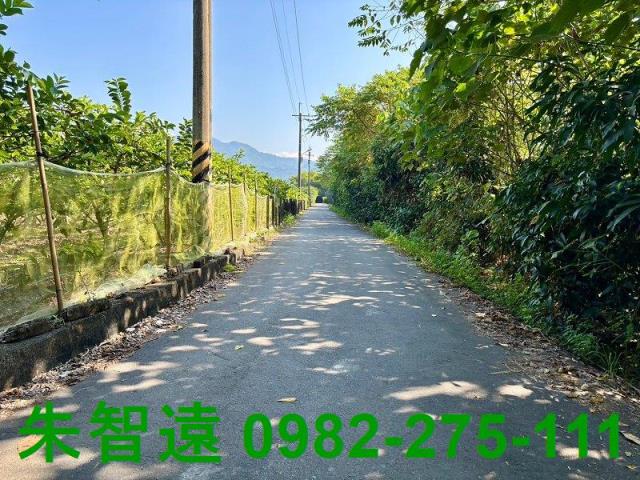 台南楠西農地-2