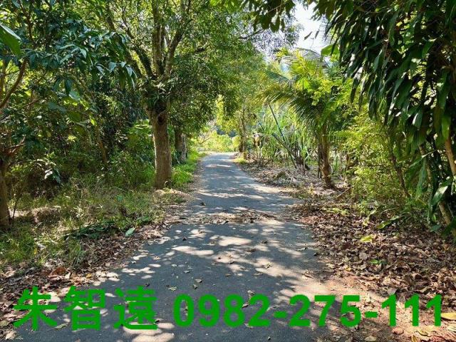 台南楠西農地-3