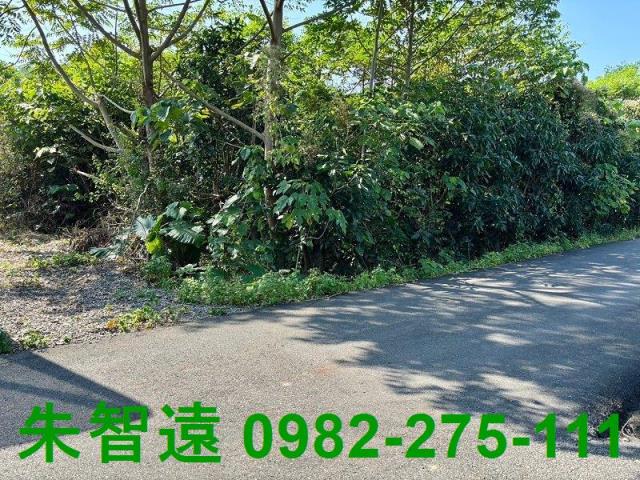 台南楠西農地-8