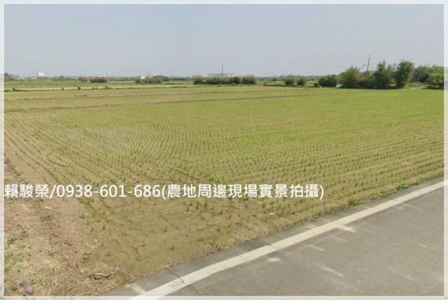 觀音仁愛路角地農地售