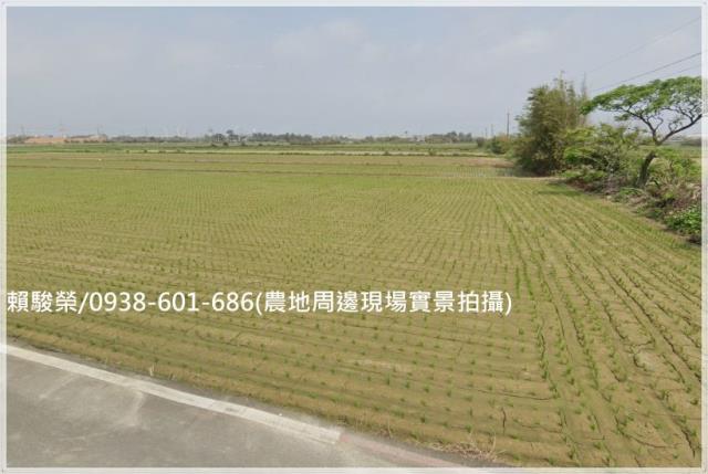 觀音仁愛路角地農地售