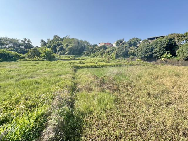 南投名間農地-4