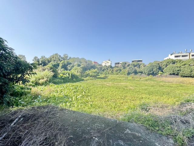 南投名間農地-6