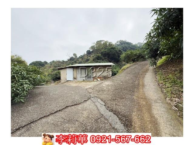 玉井農地-0