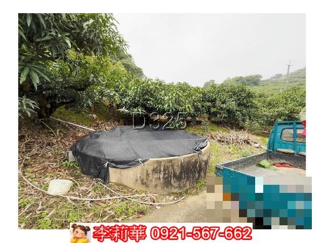 玉井農地-4