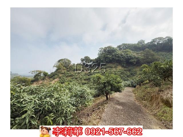 玉井農地-6