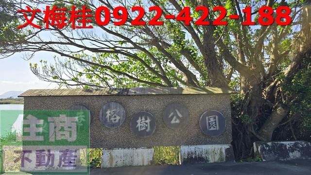 宜蘭農地-3