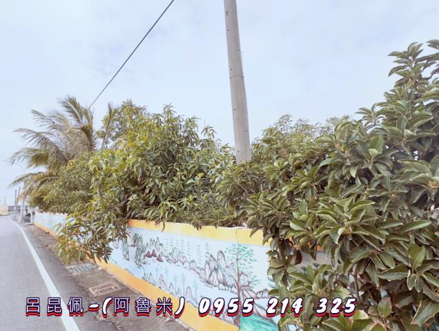 雲林水林建地-0